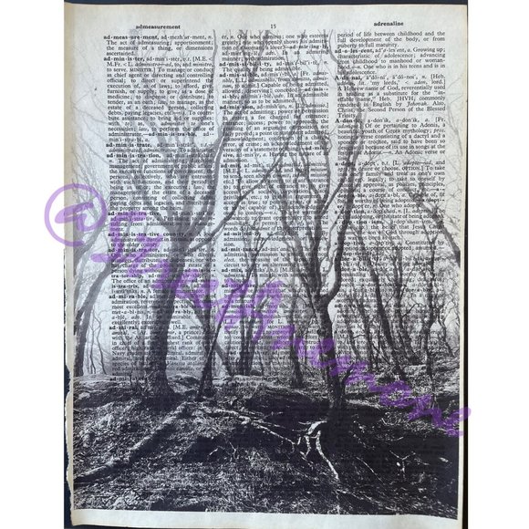 Original Craggy Gardens Photo Print on Vintage Dictionary Page - Picture 2 of 3